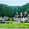 わかりやすい“ふるさと納税”