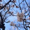 ２月の家計は、荒れまくり。３月も続く…